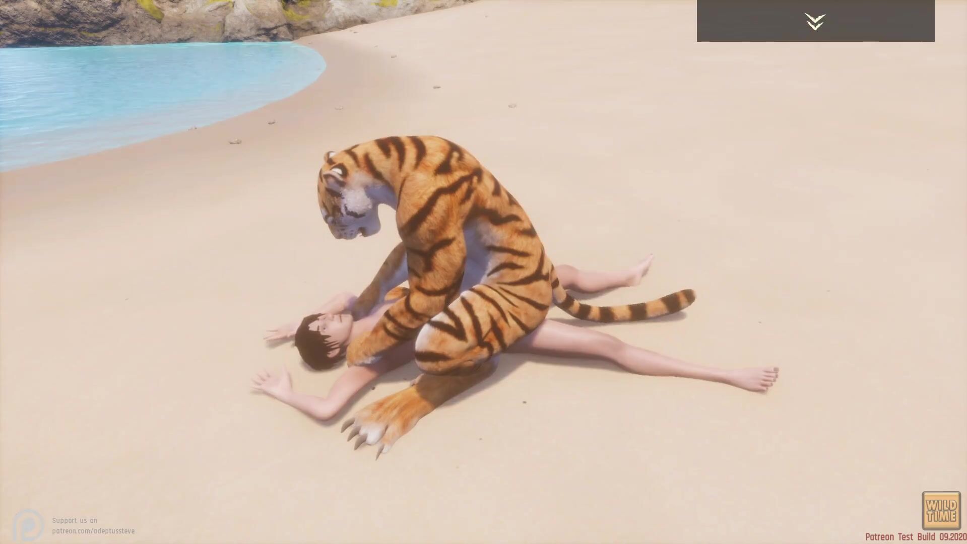 Tiger Fucks Woman